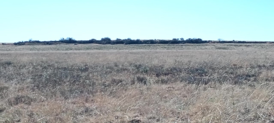 5 Bedroom Property for Sale in Edenburg Free State